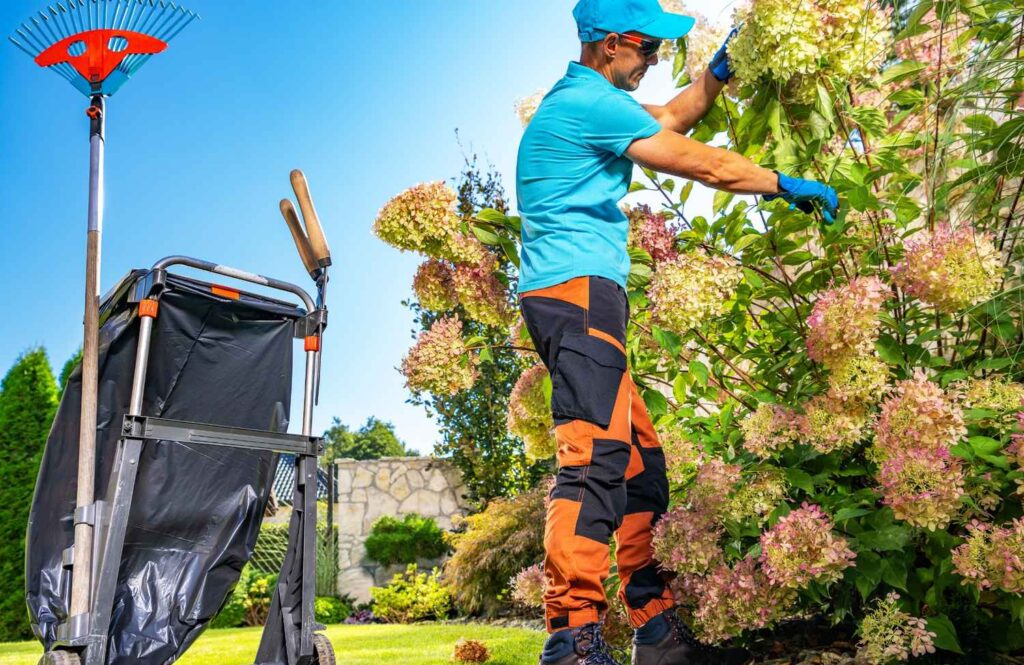 garden maintenance in dubai