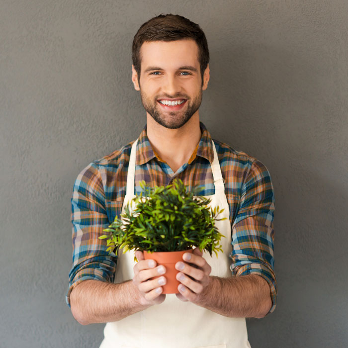 Indoor Plants Maintenance Services