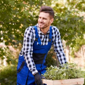 One Time Plants & Garden Services