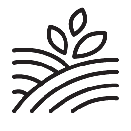 gardening 10