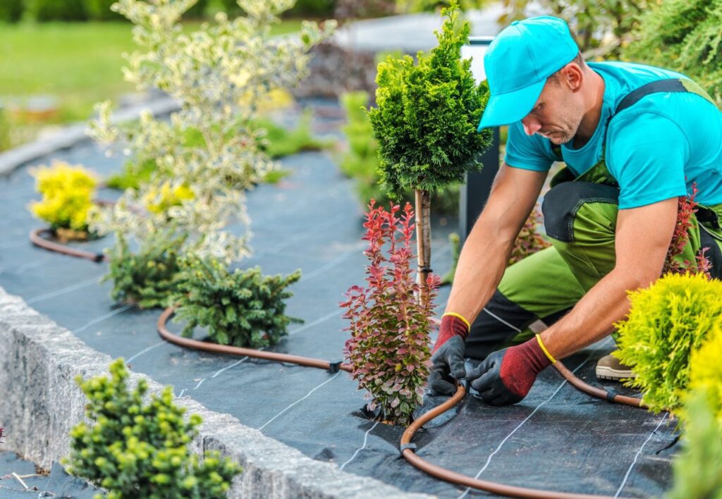 garden irrigation system dubai
