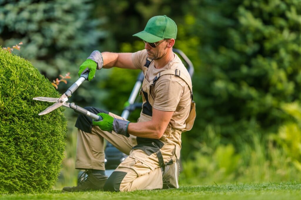 garden maintenance in Dubai