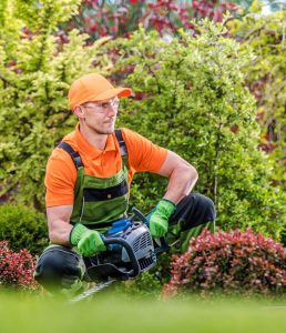 Garden Maintenance Services