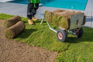 Grass Supply and Installation