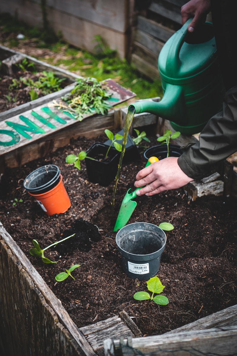 Garden maintenance services in dubai tools